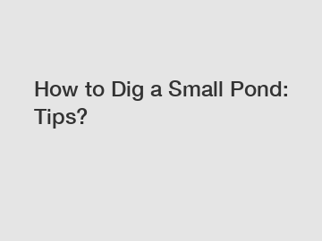 How to Dig a Small Pond: Tips?