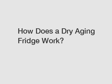 How Does a Dry Aging Fridge Work?