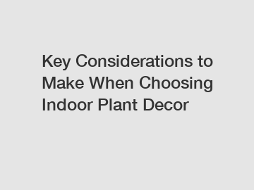 Key Considerations to Make When Choosing Indoor Plant Decor