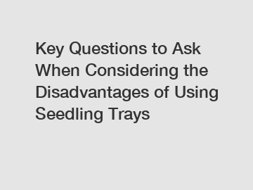 Key Questions to Ask When Considering the Disadvantages of Using Seedling Trays