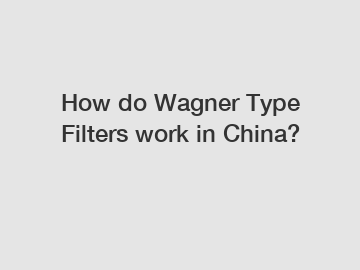 How do Wagner Type Filters work in China?