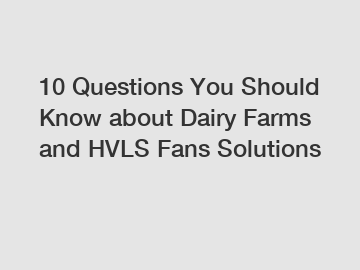 10 Questions You Should Know about Dairy Farms and HVLS Fans Solutions