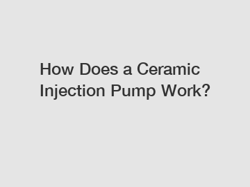 How Does a Ceramic Injection Pump Work?