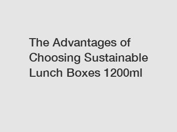 The Advantages of Choosing Sustainable Lunch Boxes 1200ml