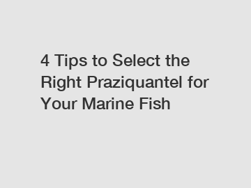 4 Tips to Select the Right Praziquantel for Your Marine Fish