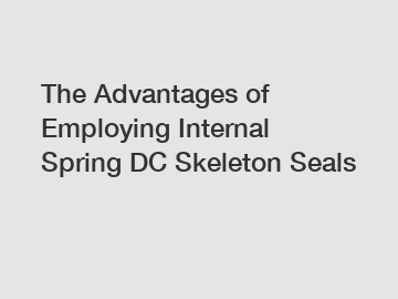 The Advantages of Employing Internal Spring DC Skeleton Seals