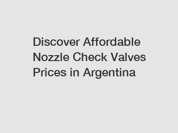 Discover Affordable Nozzle Check Valves Prices in Argentina