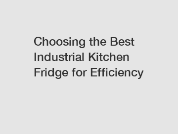 Choosing the Best Industrial Kitchen Fridge for Efficiency