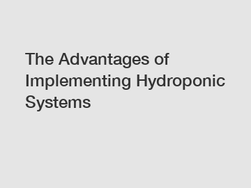 The Advantages of Implementing Hydroponic Systems