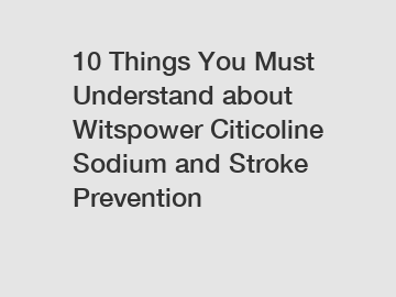 10 Things You Must Understand about Witspower Citicoline Sodium and Stroke Prevention