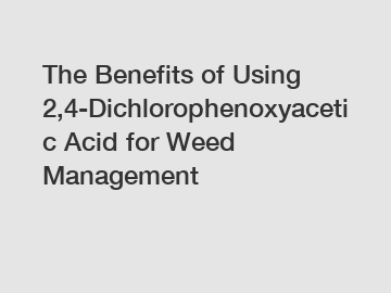 The Benefits of Using 2,4-Dichlorophenoxyacetic Acid for Weed Management