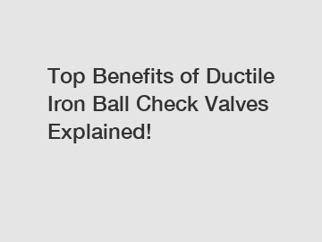 Top Benefits of Ductile Iron Ball Check Valves Explained!