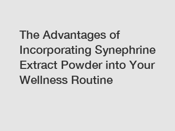 The Advantages of Incorporating Synephrine Extract Powder into Your Wellness Routine