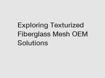 Exploring Texturized Fiberglass Mesh OEM Solutions