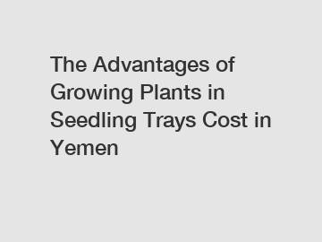 The Advantages of Growing Plants in Seedling Trays Cost in Yemen