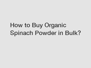 How to Buy Organic Spinach Powder in Bulk?