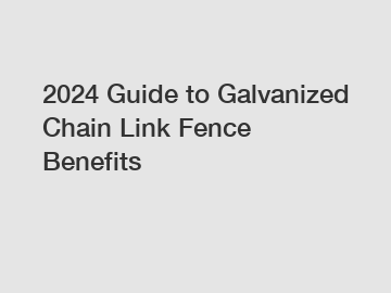 2024 Guide to Galvanized Chain Link Fence Benefits