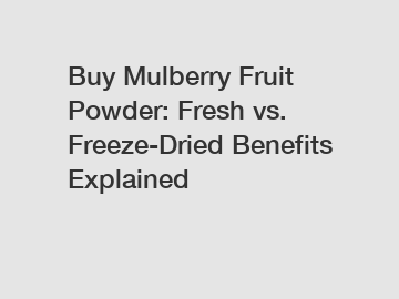 Buy Mulberry Fruit Powder: Fresh vs. Freeze-Dried Benefits Explained