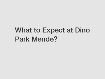What to Expect at Dino Park Mende?