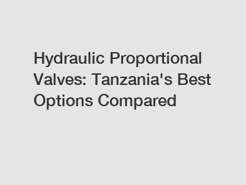 Hydraulic Proportional Valves: Tanzania's Best Options Compared