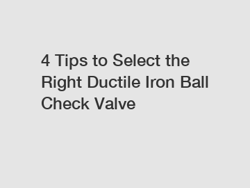 4 Tips to Select the Right Ductile Iron Ball Check Valve