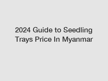2024 Guide to Seedling Trays Price In Myanmar 2024 Guide to Seedling Trays Price In Myanmar