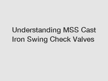 Understanding MSS Cast Iron Swing Check Valves