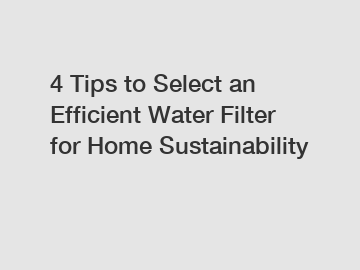 4 Tips to Select an Efficient Water Filter for Home Sustainability