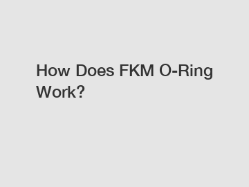 How Does FKM O-Ring Work?