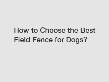 How to Choose the Best Field Fence for Dogs?