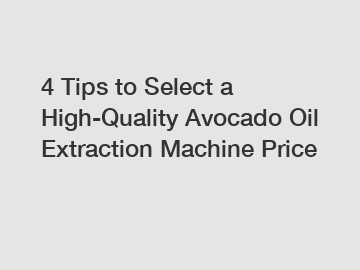 4 Tips to Select a High-Quality Avocado Oil Extraction Machine Price