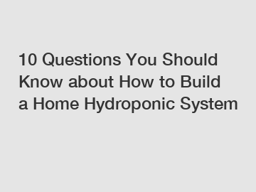 10 Questions You Should Know about How to Build a Home Hydroponic System