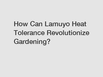 How Can Lamuyo Heat Tolerance Revolutionize Gardening?