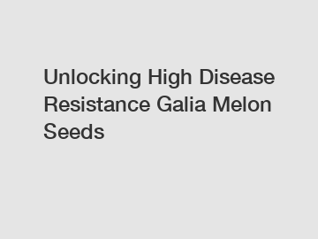 Unlocking High Disease Resistance Galia Melon Seeds