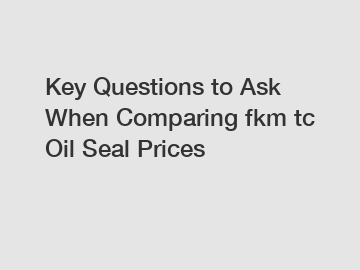 Key Questions to Ask When Comparing fkm tc Oil Seal Prices