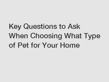 Key Questions to Ask When Choosing What Type of Pet for Your Home