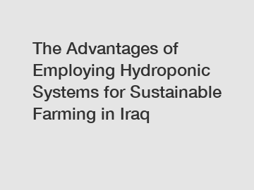 The Advantages of Employing Hydroponic Systems for Sustainable Farming in Iraq