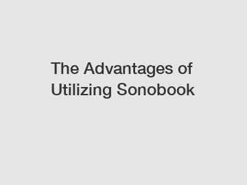 The Advantages of Utilizing Sonobook