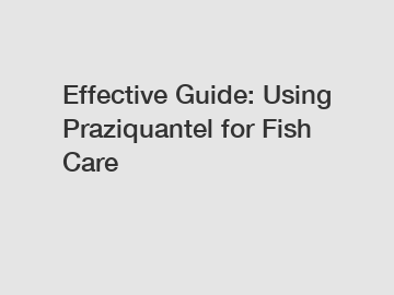 Effective Guide: Using Praziquantel for Fish Care