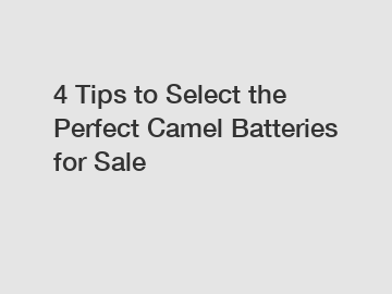 4 Tips to Select the Perfect Camel Batteries for Sale