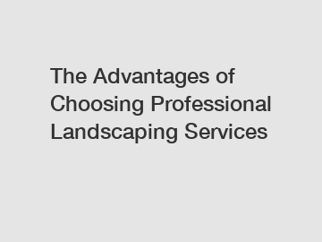 The Advantages of Choosing Professional Landscaping Services