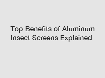 Top Benefits of Aluminum Insect Screens Explained
