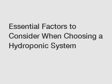 Essential Factors to Consider When Choosing a Hydroponic System