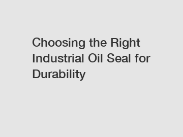Choosing the Right Industrial Oil Seal for Durability