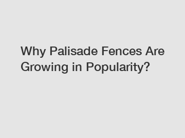 Why Palisade Fences Are Growing in Popularity?