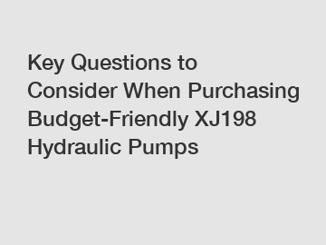 Key Questions to Consider When Purchasing Budget-Friendly XJ198 Hydraulic Pumps