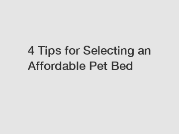 4 Tips for Selecting an Affordable Pet Bed