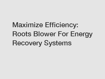 Maximize Efficiency: Roots Blower For Energy Recovery Systems