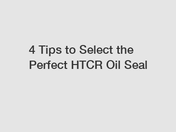 4 Tips to Select the Perfect HTCR Oil Seal