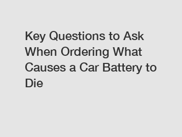 Key Questions to Ask When Ordering What Causes a Car Battery to Die